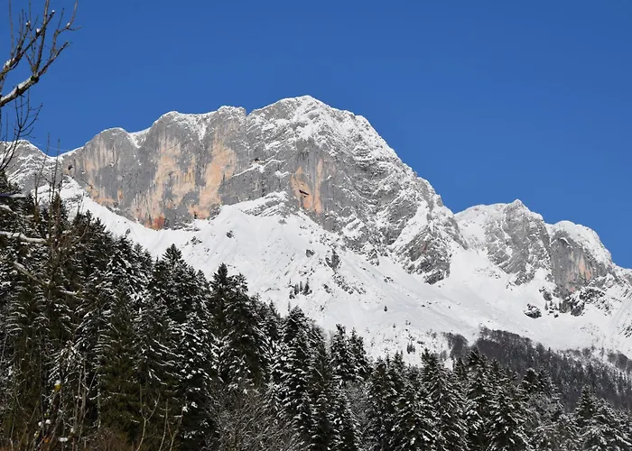 Feapp Jennerblick Maria Gern * Hintergern